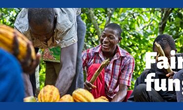 Výstava na stromech - fotografie o životě pěstitelů a systému Fairtrade